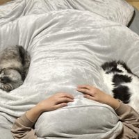 布団で寝る飼い主と猫