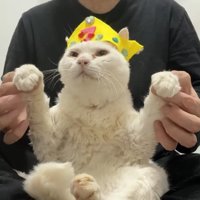 両前足を上げて