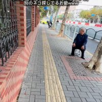 違う猫を探すお爺さん