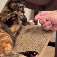 動く右手