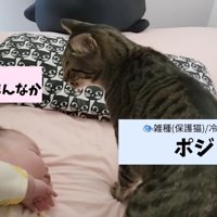 赤ちゃんとポジくん