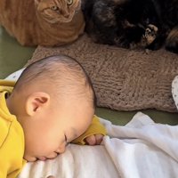 「知らぬ間に...」のテロップ写真1