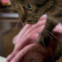 ふみふみする空くん