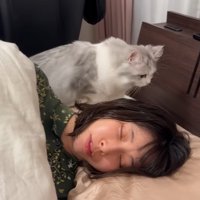 寝ている人とその後ろを歩いている猫