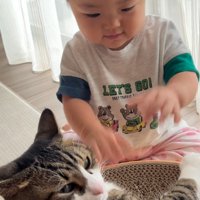 不機嫌そうな猫の顔