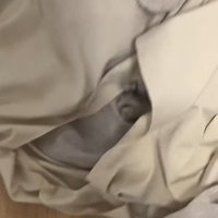 布のアップ