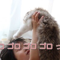 ゴロゴロゴロゴロって