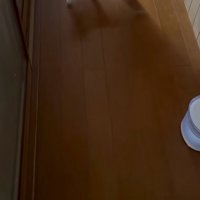 廊下を歩く様子