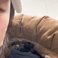 人の服の中に隠れている猫