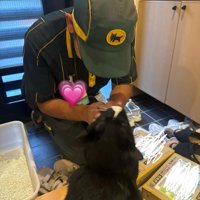 黒猫とドライバー