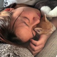 飼い主と寝る猫