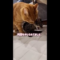 何回もキレられてました