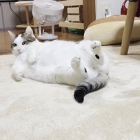 起き上がりかけて