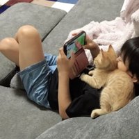 猫と男の子