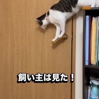 少し開くドア