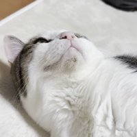 上を向く顔のアップ