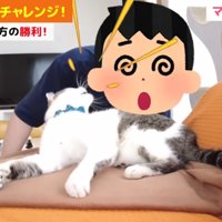 3回戦