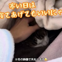 テロップ（上）「寒い日は～」