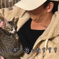 お父さんにくっついて眠る猫