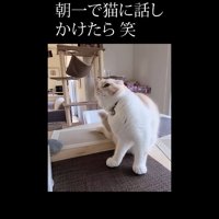 右をカキカキ