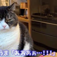 あああぁ…！！！