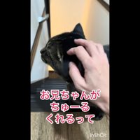 お兄ちゃんが