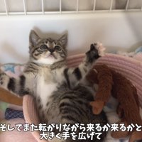 「そしてまた...」のテロップ写真