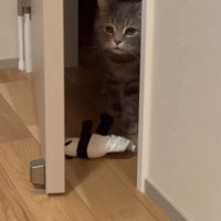 床に落ちたぬいぐるみのそばに立つメルくん
