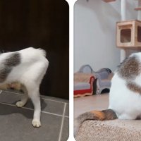 ビフォーアフター