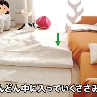 カーペットに潜るささみくん