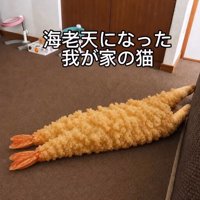 AIが生成した『海老天の姿になった猫』の画像