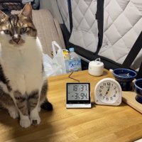 マサくんの正面写真