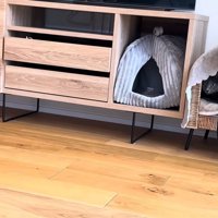 右端のハウスベッドに入った猫ちゃん