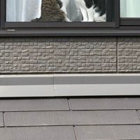 窓枠に見える2匹の猫の足元