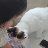 赤ちゃんと猫