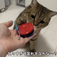 「久々すぎて...」のテロップ写真2