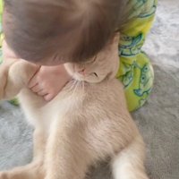 猫を抱きしめる女の子