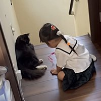 おもちゃを見る猫とおもちゃで遊ぶ妹