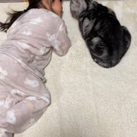 寝転ぶ女の子と猫