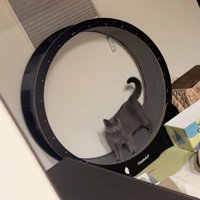 見回す猫