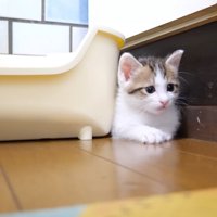 隙間に挟まるハートくん