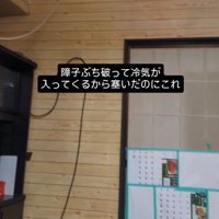 部屋の上の方を見る飼い主