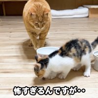 怖すぎるんですが