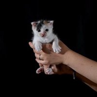 手足を伸ばすいちえちゃん
