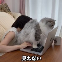 テロップ「見えない」