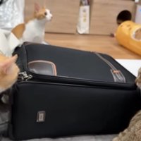 匂いを嗅ぐ男子たち