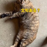 ゴロンと寝転ぶ専務ママ