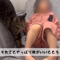 テロップ「それでもやっぱり～」