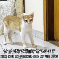 テロップ「今日初めて～」