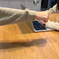 拳を突き出すパパさん